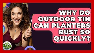 Why Do Outdoor Tin Can Planters Rust So Quickly? - The Upcycle Lab