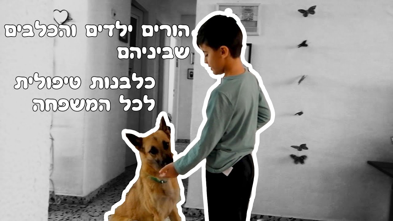 הורים ילדים והכלבים שביניהם | כלבנות טיפולית | משפחה