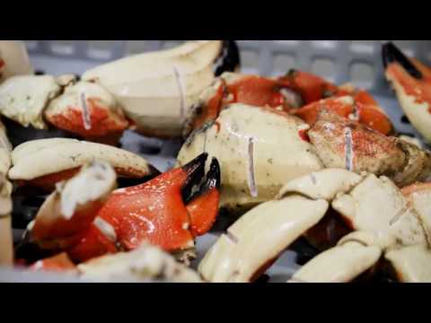 Video: Poți mânca crab Jonah?