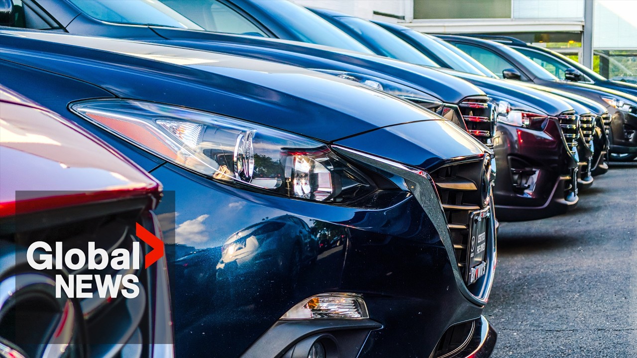 “My credit is gone”: Customers of Nova Scotia car dealership allege fraud