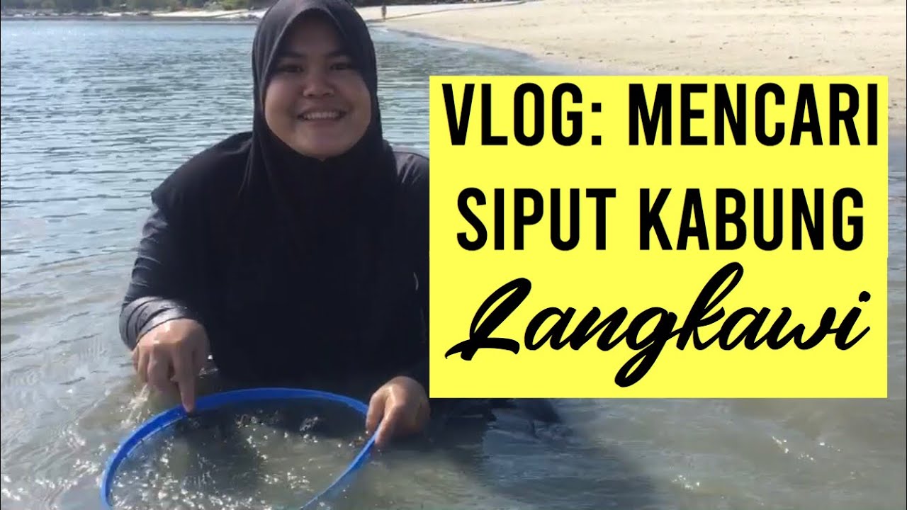 Mencari Siput Kabung Langkawi Youtube