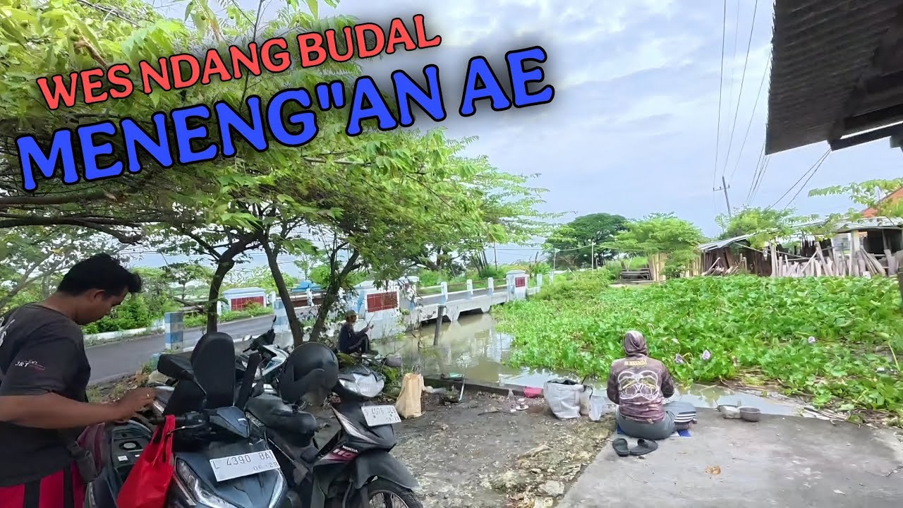 Gak nyangka depan warkop jadi sarang ikan !!!