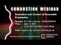 Simulation and Control of Renewable Combustion, Speaker: Thierry Poinsot