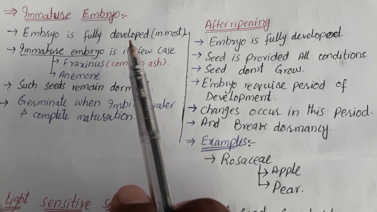 Seed Dormancy BSc Botany YouTube