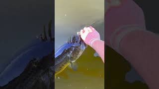 We will call her 9 🤝 Net Worth