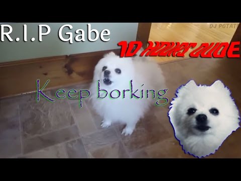 Bork till youre dead 10 Hours