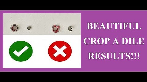 We R Memory Keepers CROP A DILE | PROBLEM SOLVED