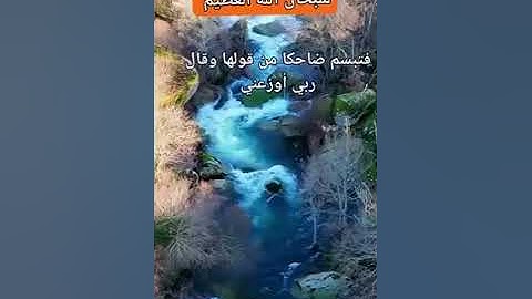 آية من سورة النمل  وورث سليمان داوود