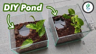 Pacman Frog Bioactive Vivarium Build (Square Sized Enclosure) by dna design 17,736 views 3 years ago 15 minutes