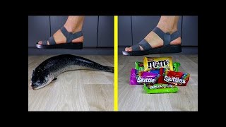 Crushing Crunchy & Soft Things  EXPERIMENT  Shoes vs Fish & Food