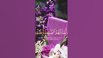 ما تيسر من سورة النساء القارئ محمد ايوب