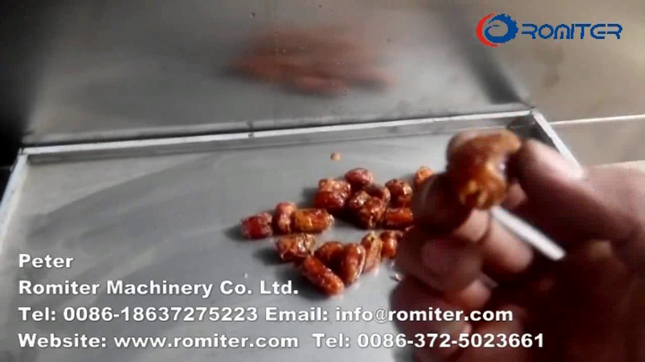 Full Automatic Dates Pitting Machine