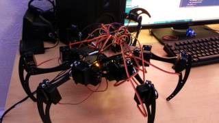 Hexapod: More tests!