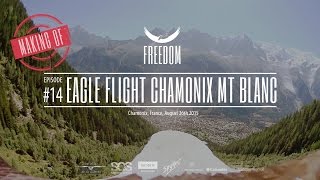 Freedom Conservation Eagles fly from the Brévent, Chamonix, with superb Mt Blanc views