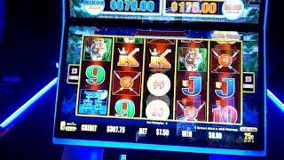 DOLLAR STORM NINJA MOON Lightning Link slot machine Bonuses