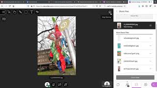 How to upload a file to Blackboard Collaborate Ultra - for students