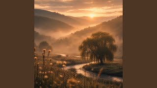Where the Willows Lean
