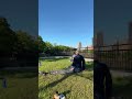 🧘♀️ Livestream-Highlight: Yoga & Zazen Live in Osaka Castle Park 🧘 #zen #meditation #openair