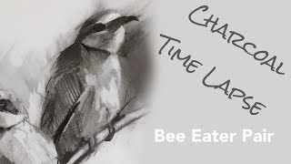 Charcoal Drawing Timelapse - Bee Eater Wildlife & Bird art