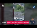 Un urs a băgat panică într-o localitate din Cluj