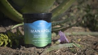 This Is Manapol - Chinese (simplified)