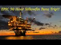 GIANT YELLOWFIN TUNA - Texas Oil Rig Fishing Trip!