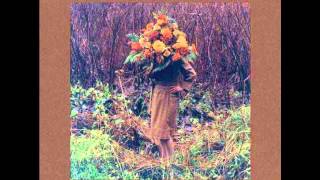 Moi Caprice - The Same House Seen From All Possible Angles