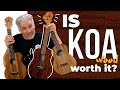 Is koa wood worth it? Should you have a Koa Wood ukulele?