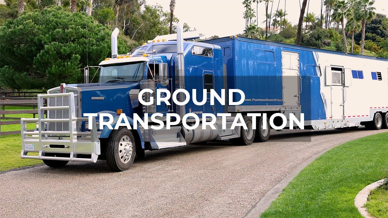 Ground Horse Transportation: Ensuring Safe, Smooth Journeys for Horses