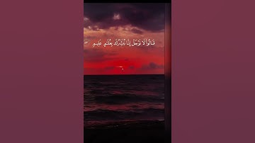 لا تنسوا قراءة سورة الكهف.. قال رسول الله ﷺ "من قرأ سورة الكهف في يوم الجمعة أضاء له من النور❤️