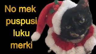 No mek pusi luku merki