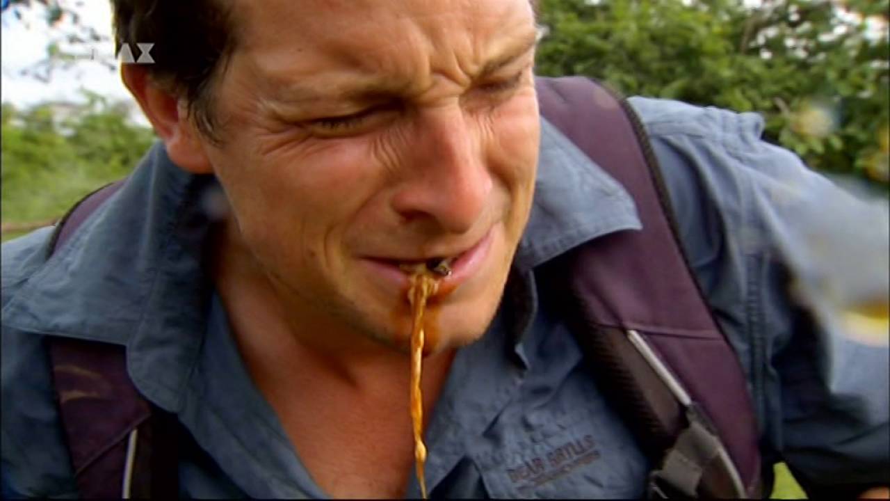 Bear Grylls Ausgesetzt In Der Wildnis Stream