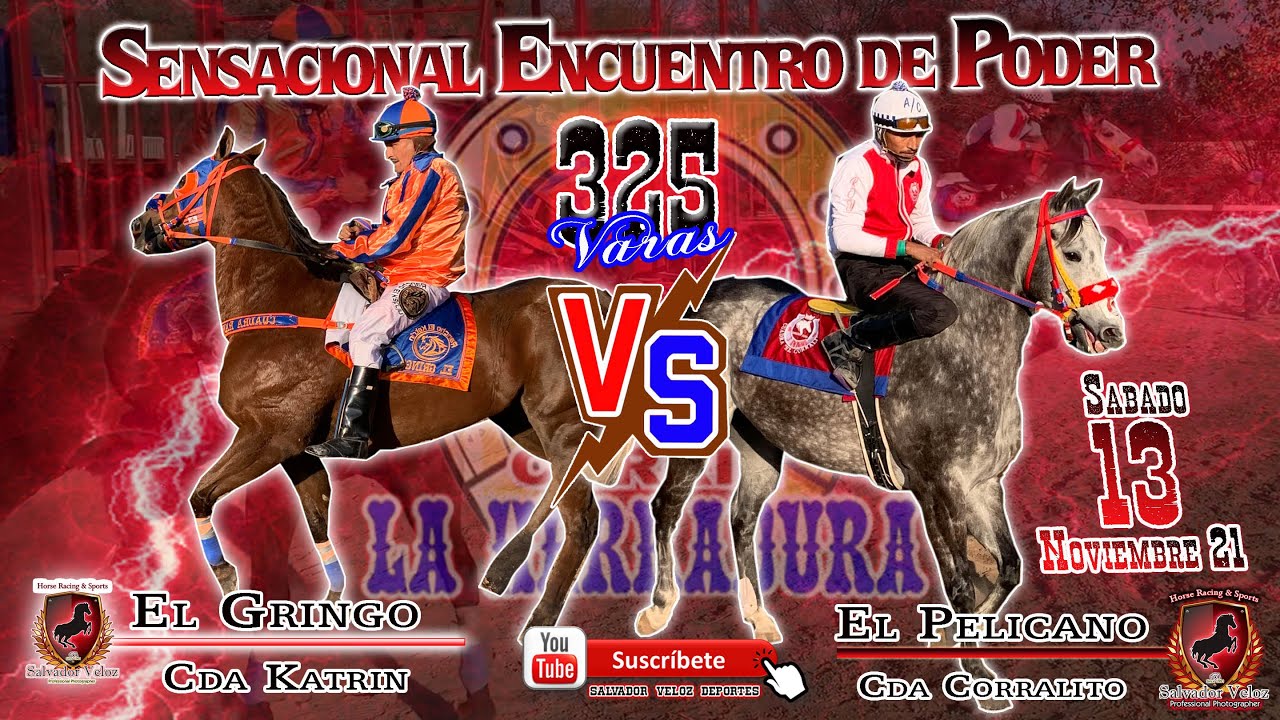 Rosas-herradura en el trofeo #b-o05130 Rosas-herradura en el trofeo #b-o05130