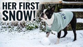 Watch Sweet Queen Maeve Experience Her First Snowfall