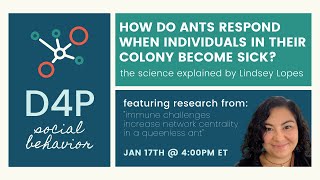 [D4P: Social Behavior] On Ants and Immunity
