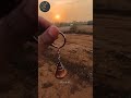 Video Image