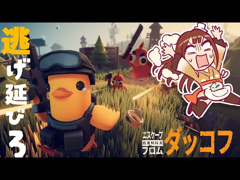 【エスケープ フロム ダッコフ】今話題のダッコフを初見プレイでやってみる！わからなすぎサバイバルきた～～！【モカ/Vtuber声優】