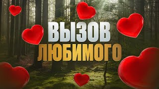 видео: 📲Вызов ЛЮБИМОГО МУЖЧИНЫ/женщины! Проявится ЧЕРЕЗ 5 МИНУТ! Невероятно МОЩНЫЙ! картинка: 📲Вызов ЛЮБИМОГО МУЖЧИНЫ/женщины! Проявится ЧЕРЕЗ 5 МИНУТ! Невероятно МОЩНЫЙ!