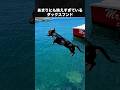 犬が水遊びする姿が可愛すぎてたまらない! #犬 #いぬ #動物