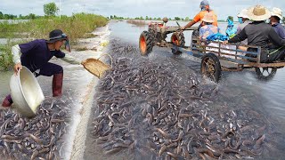 Unbelievable This Fishing 2021 - Amazing Catching & Catfish Swimming on Road Flooded