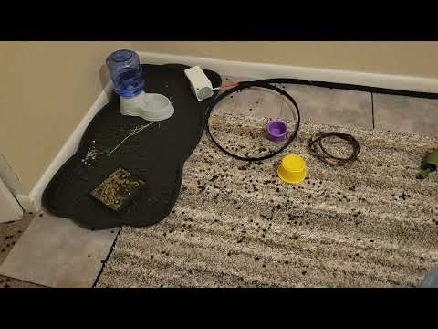 Bunnies Do What?!? Bunnies Are Messy