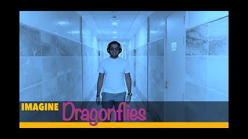 Imagine Dragonflies - Blank Space/I Don