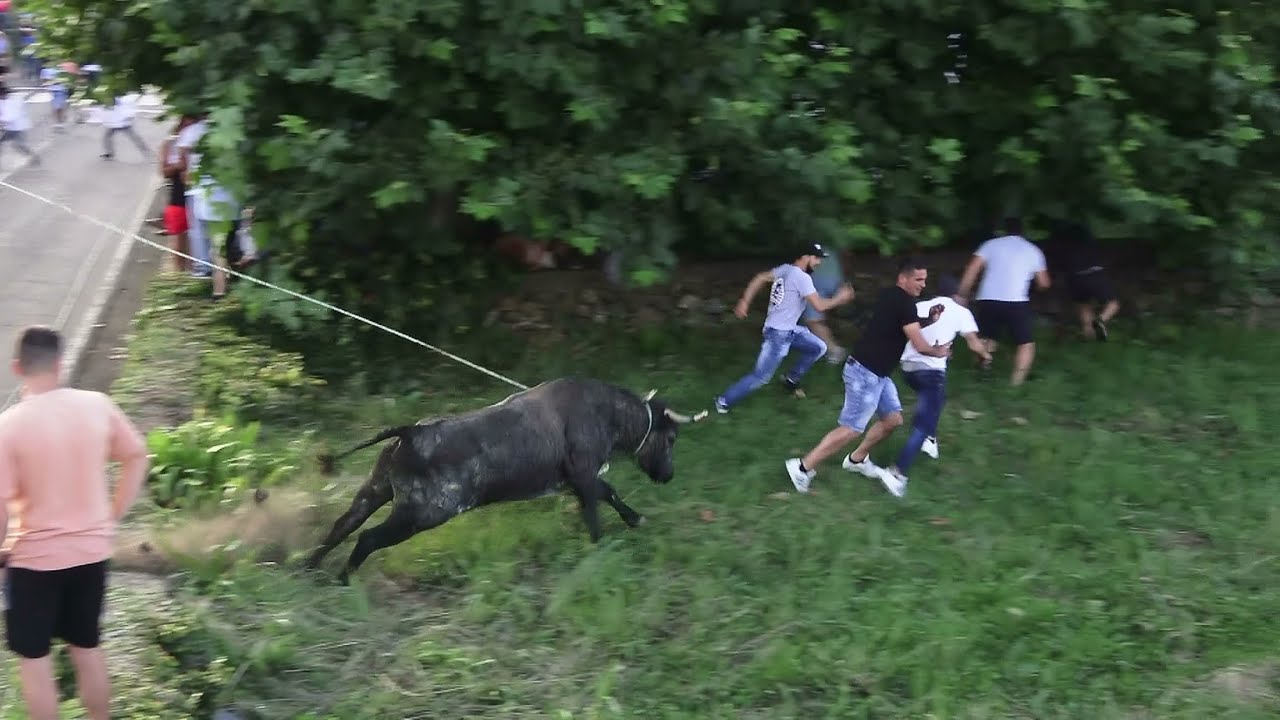 Ganadaria EG - Festas Outeiros Agualva 2022 - Ilha Terceira - Açores - Portugal