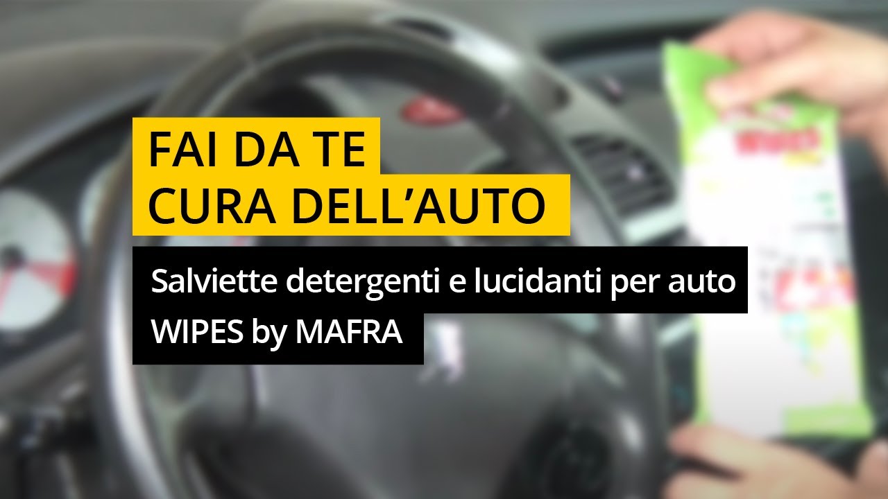 Wizzy Rinnova Pelle Da Auto 15 Salviette