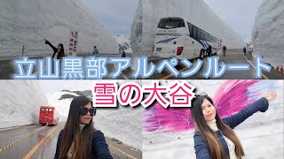 【富山県】立山黒部アルペンルート(雪の大谷)Tateyama Alpine Route