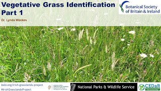 Vegetative Grass Identification - part 1