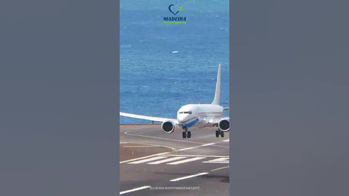 Skilled Pilot Landing the Boeing 737 MAX 8 with strong winds - 天天要聞