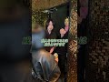 缶のお酒を飲みながら来店する姫～Part1～遼介編 #gd #tiktok #社長 #イケメン #歌舞伎町 #グルダン#dolce1 #ホスト