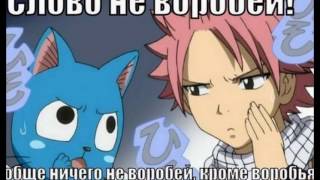 приколы Хвост Феи приколы Хвост Феи