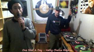 One Shot A Day 293 / Natty Chalice Riddim